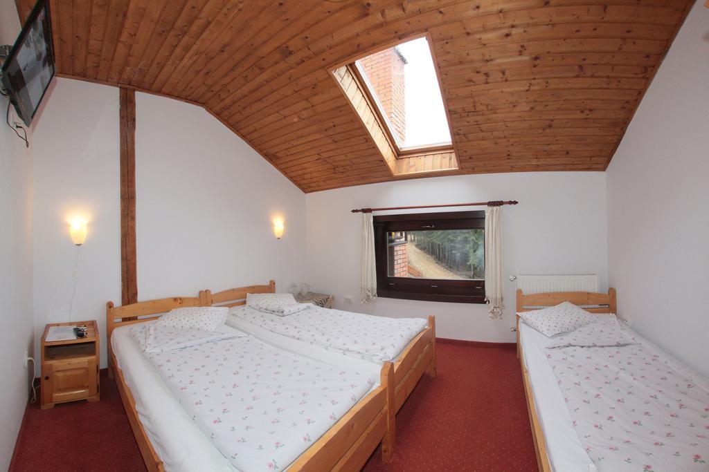 Balu Pension Topliţa Exterior foto