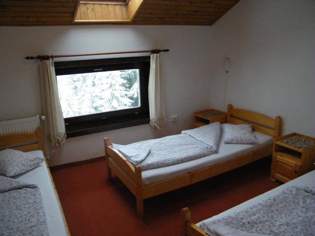 Balu Pension Topliţa Habitación foto