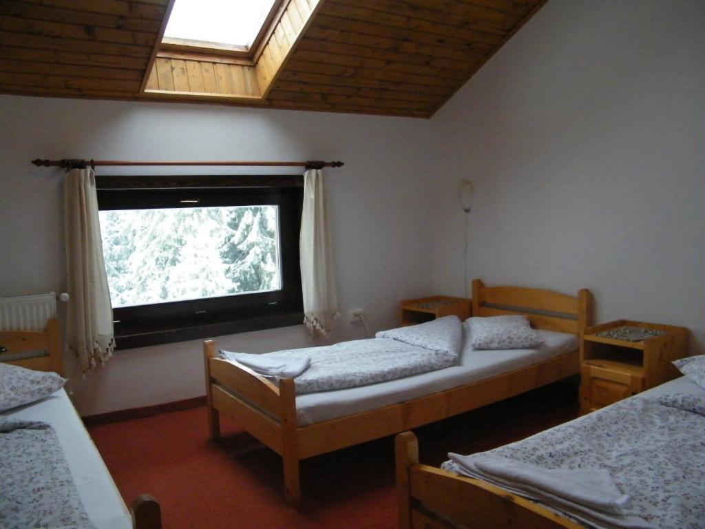 Balu Pension Topliţa Habitación foto